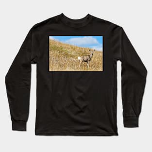 Deer Looking Down From Hill Long Sleeve T-Shirt